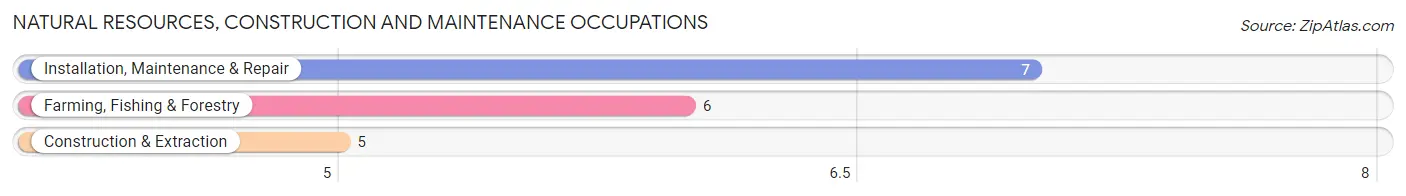 Natural Resources, Construction and Maintenance Occupations in Dallas