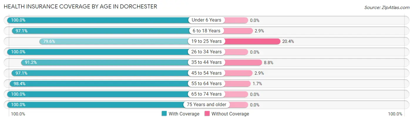 Health Insurance Coverage by Age in Dorchester