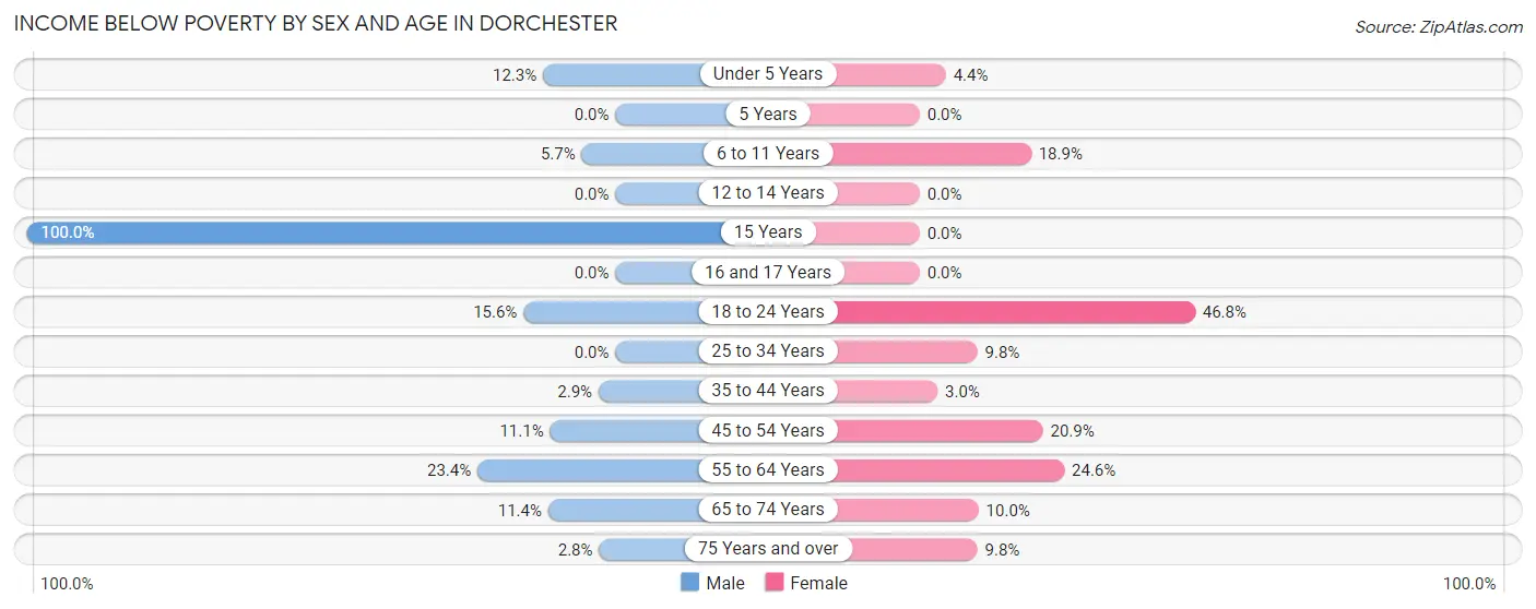 Income Below Poverty by Sex and Age in Dorchester