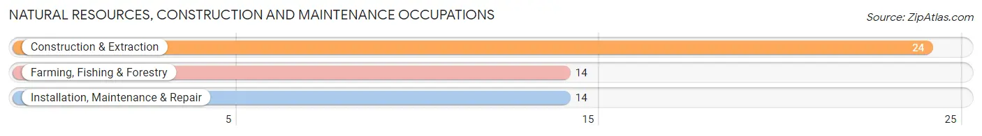 Natural Resources, Construction and Maintenance Occupations in Dorchester