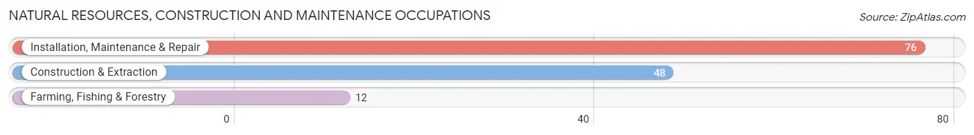 Natural Resources, Construction and Maintenance Occupations in East Troy