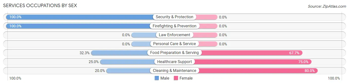Services Occupations by Sex in Edgar