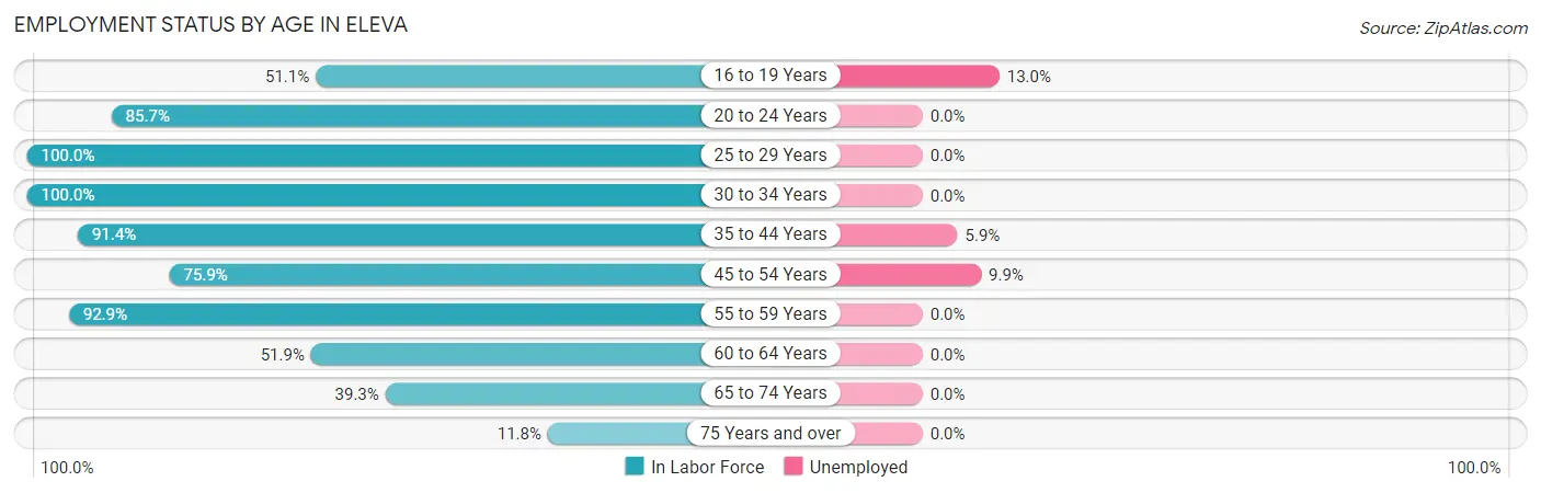 Employment Status by Age in Eleva