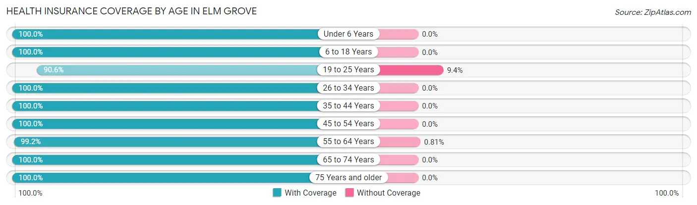 Health Insurance Coverage by Age in Elm Grove