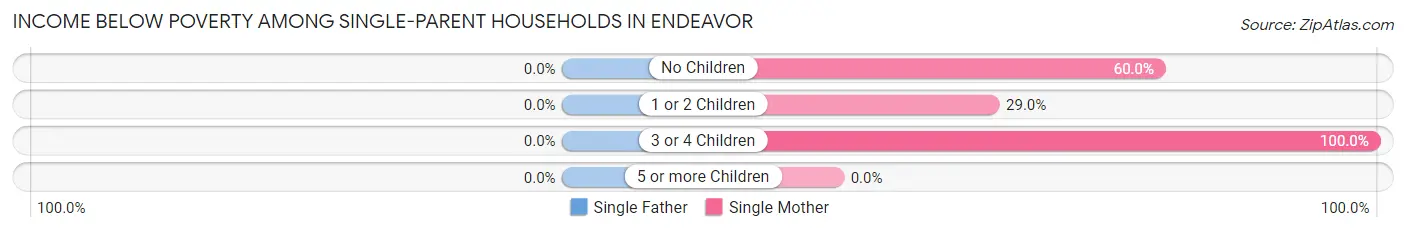 Income Below Poverty Among Single-Parent Households in Endeavor