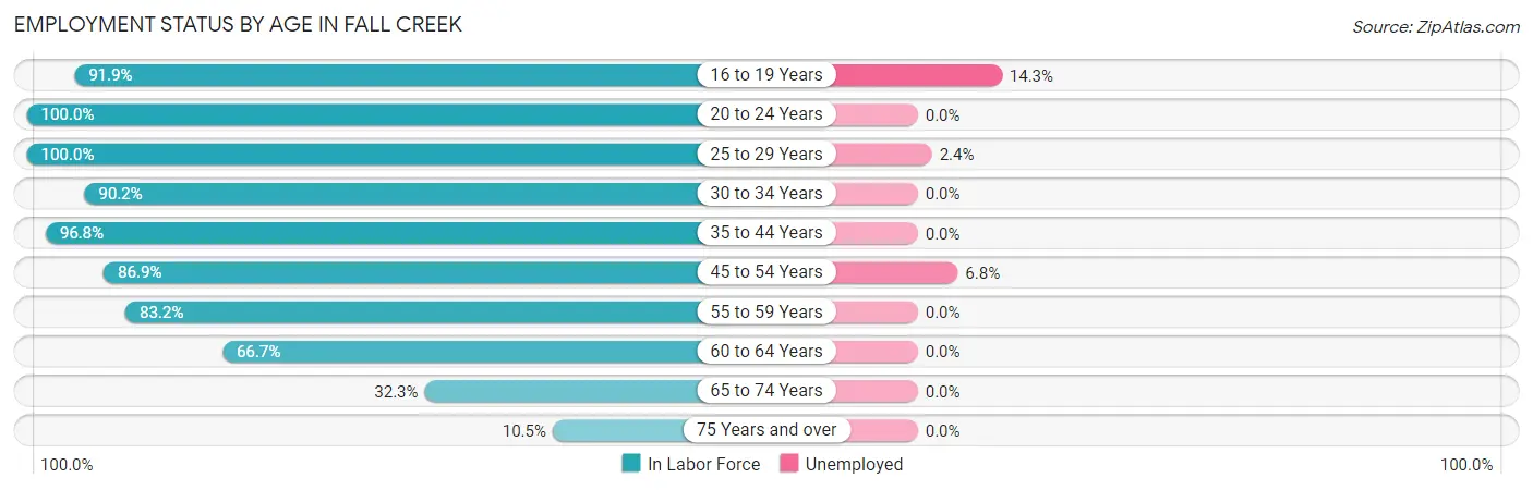 Employment Status by Age in Fall Creek