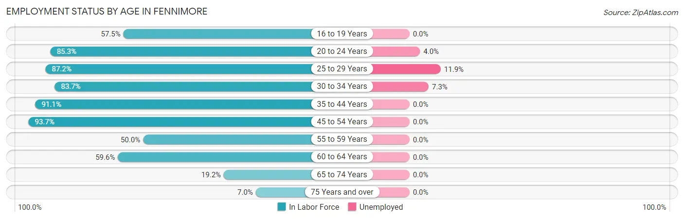 Employment Status by Age in Fennimore