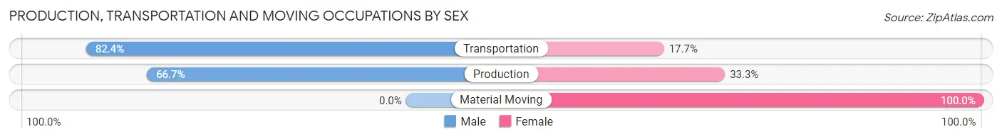 Production, Transportation and Moving Occupations by Sex in Ferryville