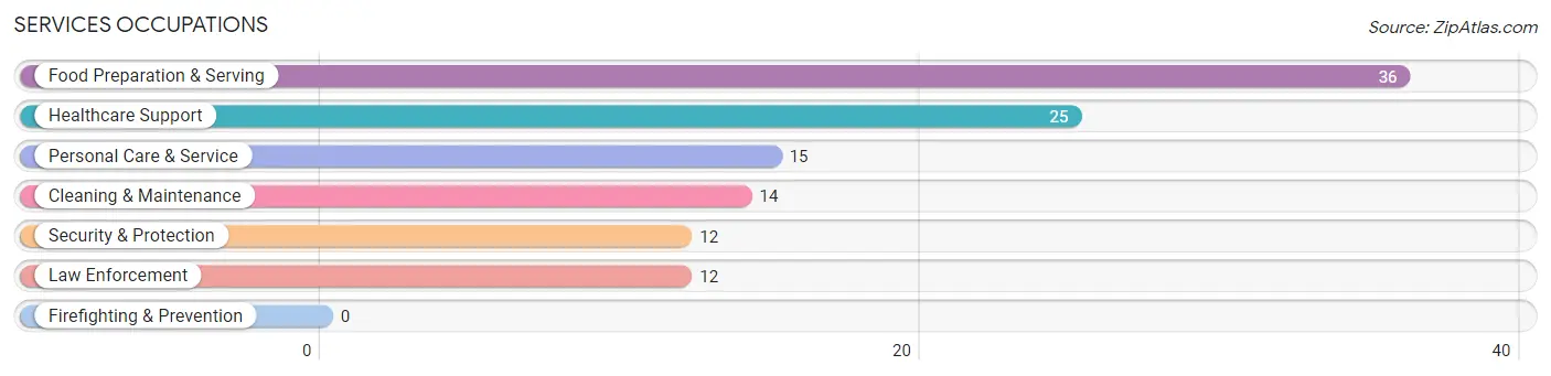 Services Occupations in Footville