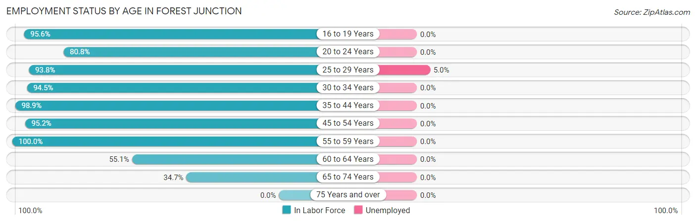 Employment Status by Age in Forest Junction