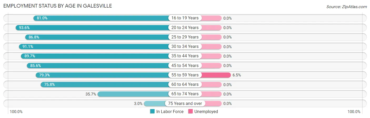 Employment Status by Age in Galesville