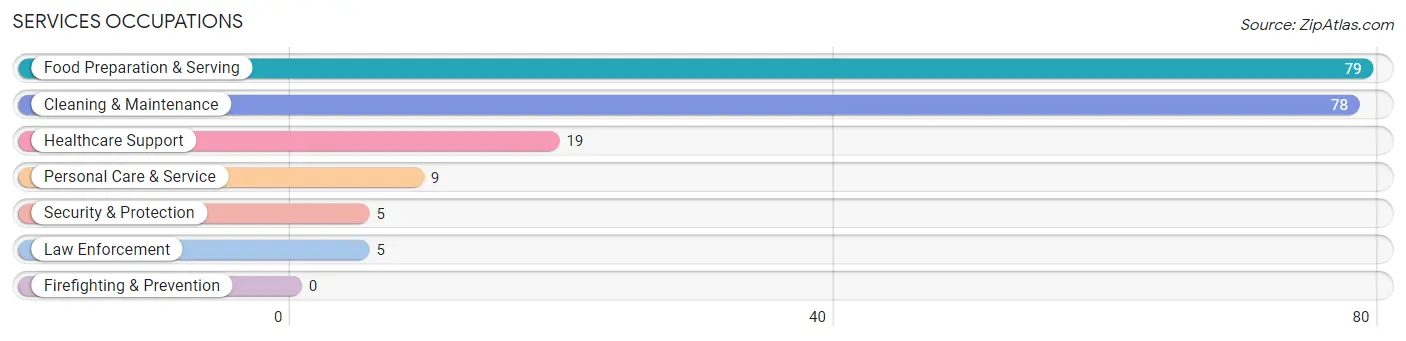 Services Occupations in Galesville