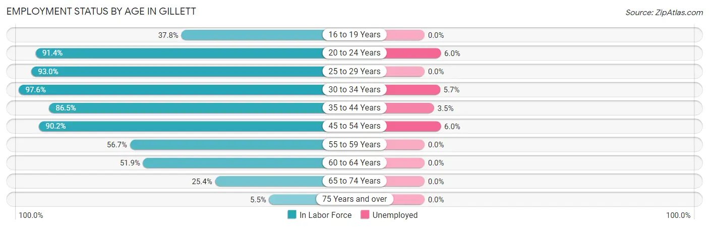 Employment Status by Age in Gillett