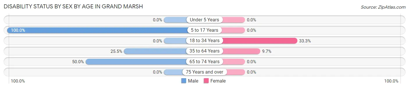 Disability Status by Sex by Age in Grand Marsh