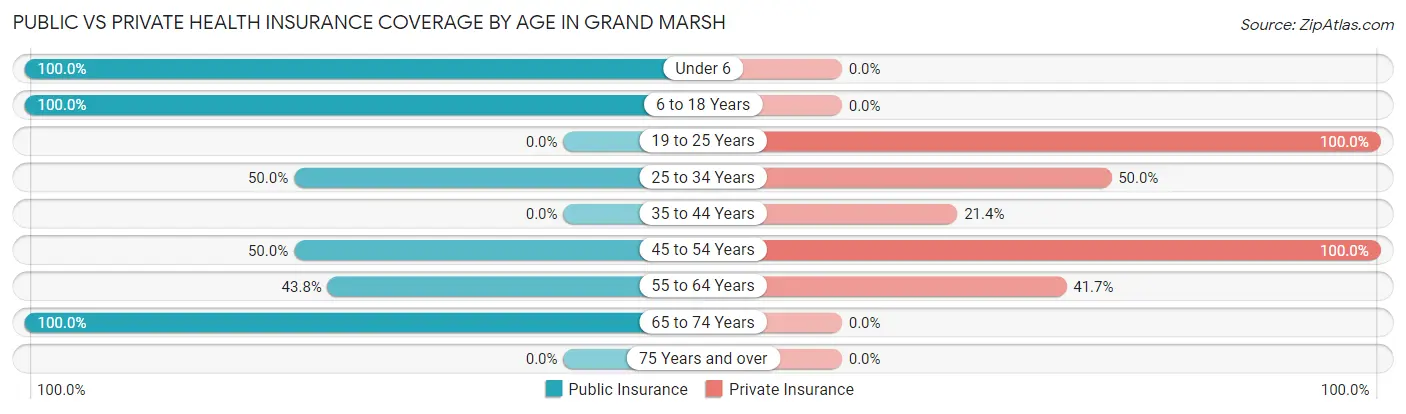 Public vs Private Health Insurance Coverage by Age in Grand Marsh