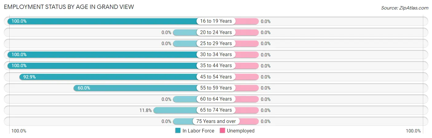 Employment Status by Age in Grand View