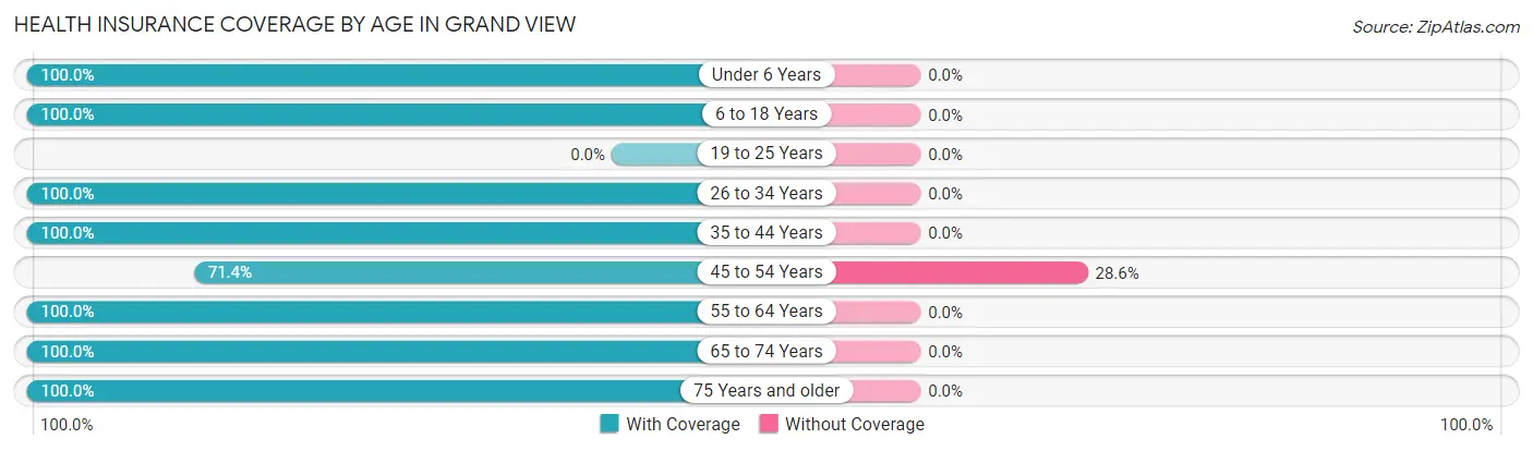 Health Insurance Coverage by Age in Grand View