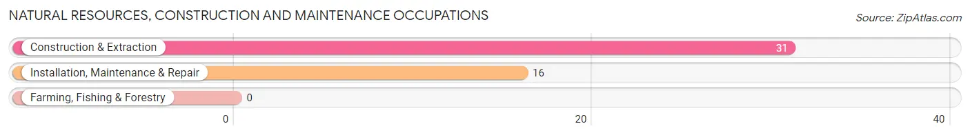 Natural Resources, Construction and Maintenance Occupations in Grantsburg