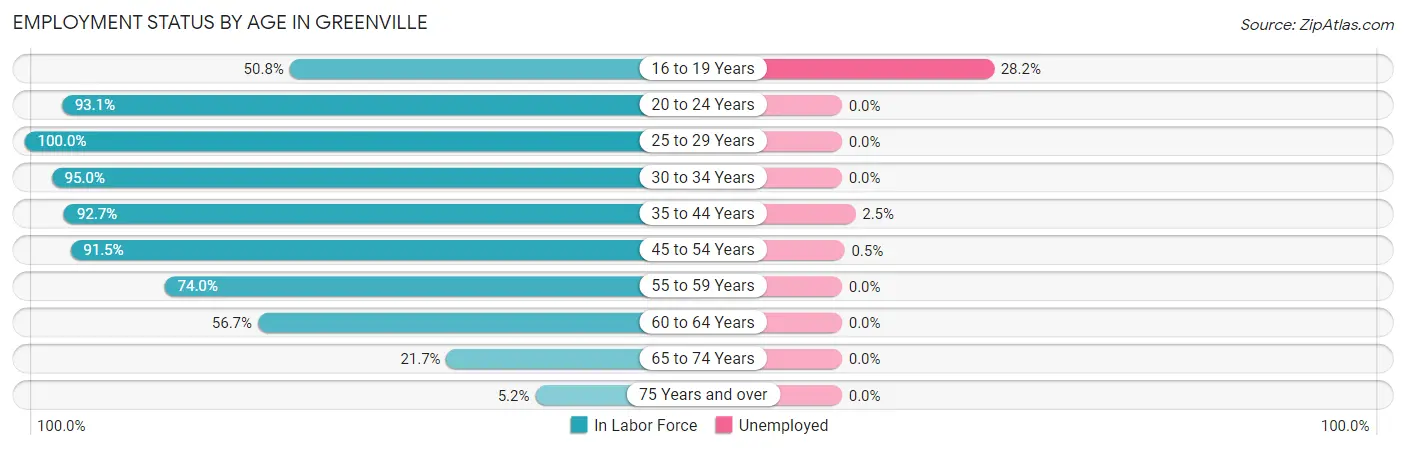 Employment Status by Age in Greenville