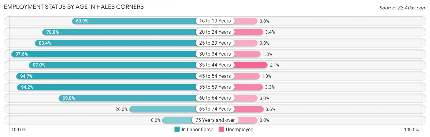 Employment Status by Age in Hales Corners