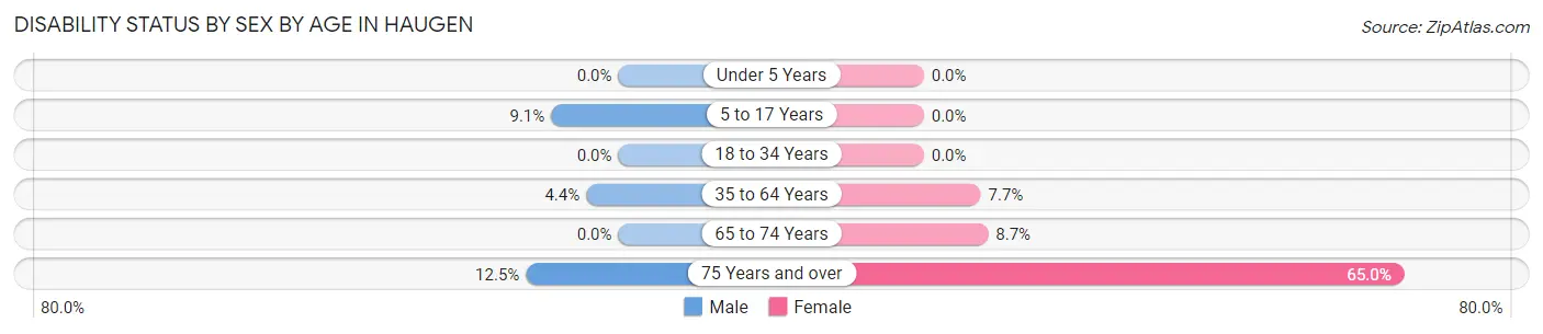 Disability Status by Sex by Age in Haugen