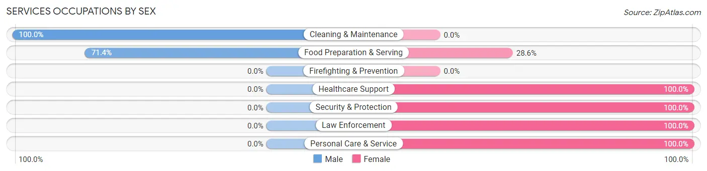 Services Occupations by Sex in Haugen