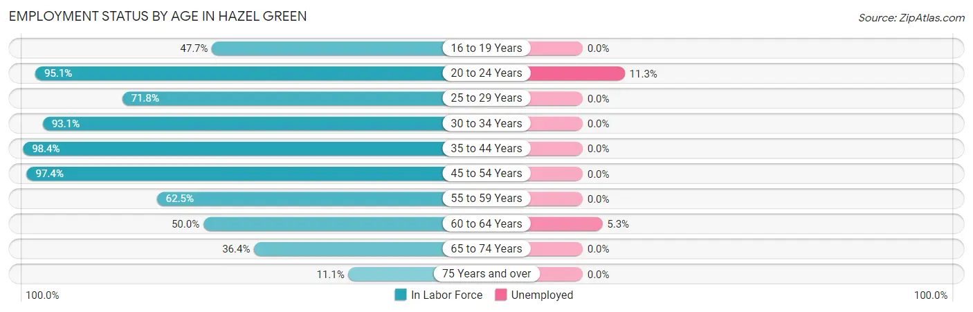 Employment Status by Age in Hazel Green
