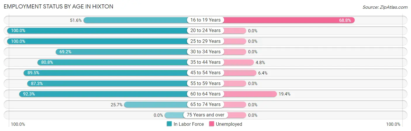 Employment Status by Age in Hixton