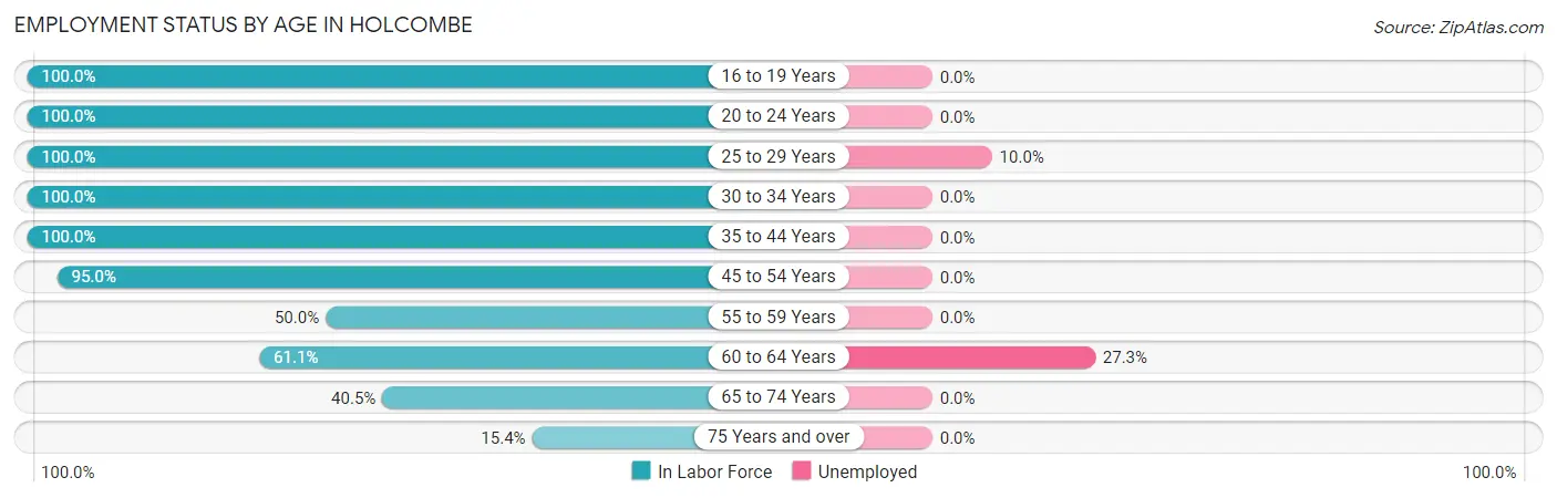 Employment Status by Age in Holcombe