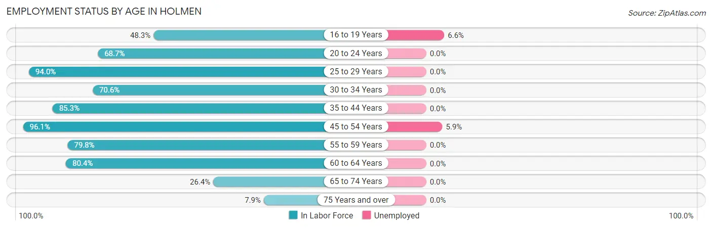 Employment Status by Age in Holmen