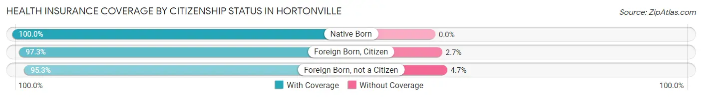 Health Insurance Coverage by Citizenship Status in Hortonville