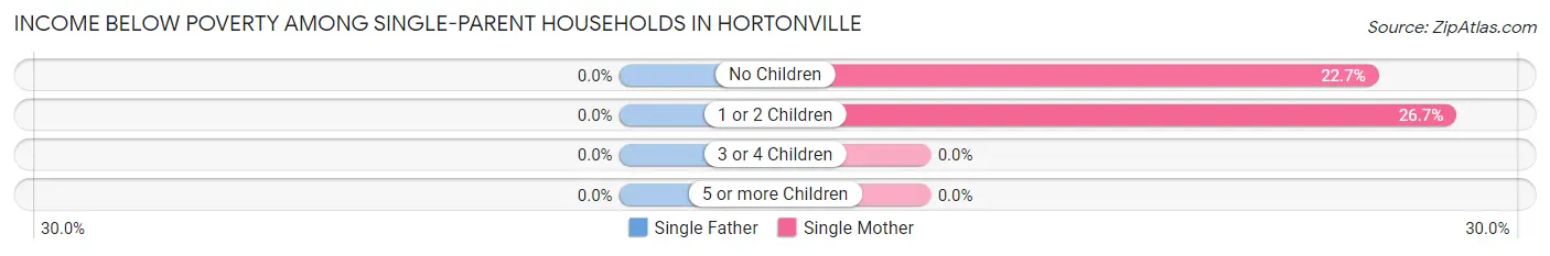 Income Below Poverty Among Single-Parent Households in Hortonville