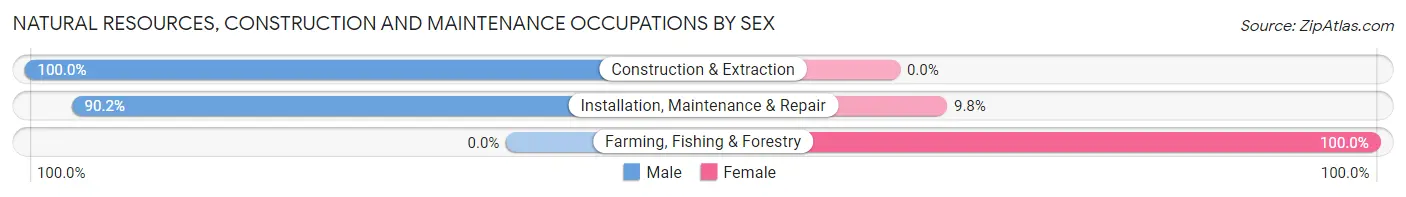 Natural Resources, Construction and Maintenance Occupations by Sex in Hortonville