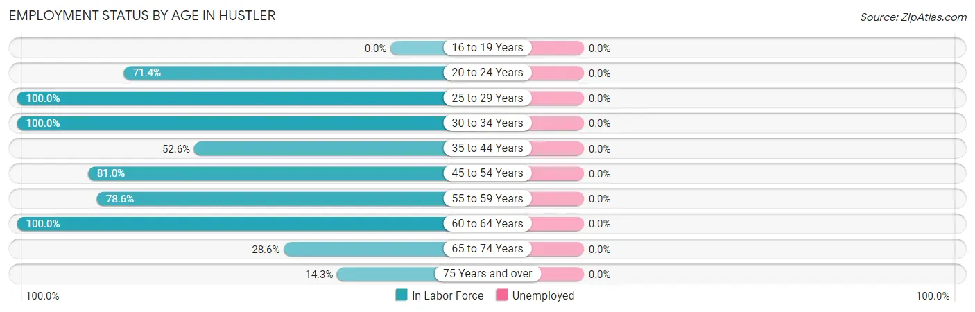 Employment Status by Age in Hustler