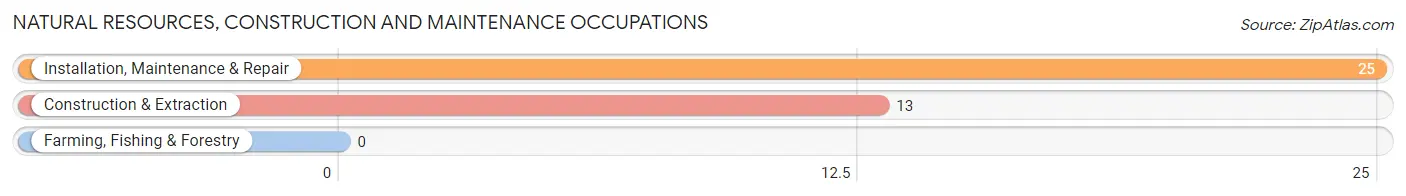 Natural Resources, Construction and Maintenance Occupations in Iola