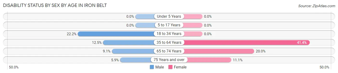 Disability Status by Sex by Age in Iron Belt