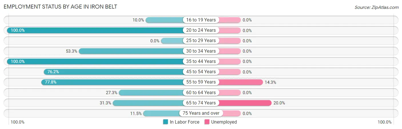 Employment Status by Age in Iron Belt