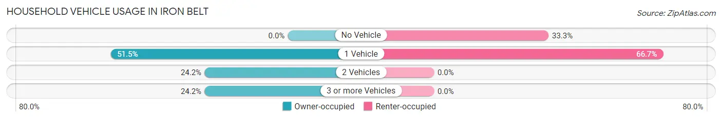 Household Vehicle Usage in Iron Belt