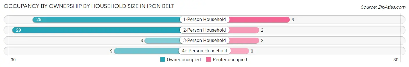 Occupancy by Ownership by Household Size in Iron Belt