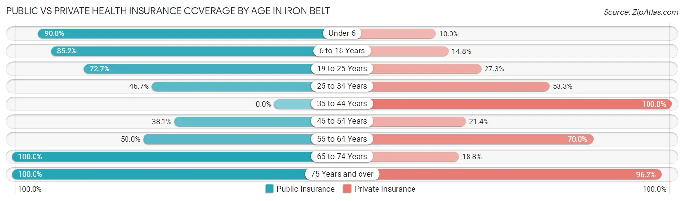 Public vs Private Health Insurance Coverage by Age in Iron Belt