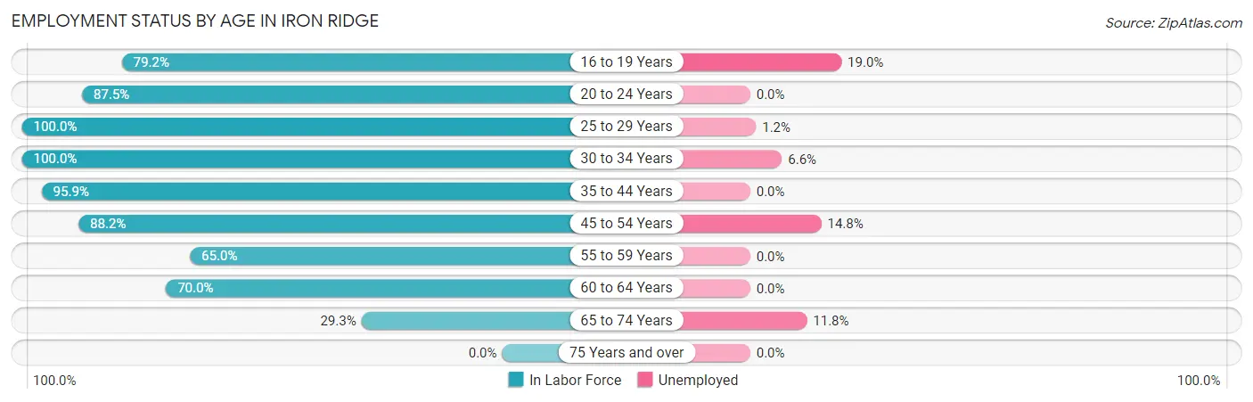 Employment Status by Age in Iron Ridge
