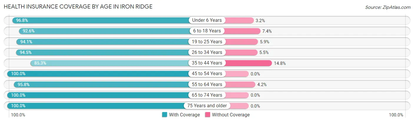 Health Insurance Coverage by Age in Iron Ridge
