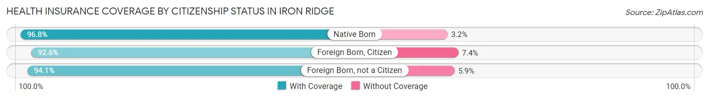 Health Insurance Coverage by Citizenship Status in Iron Ridge