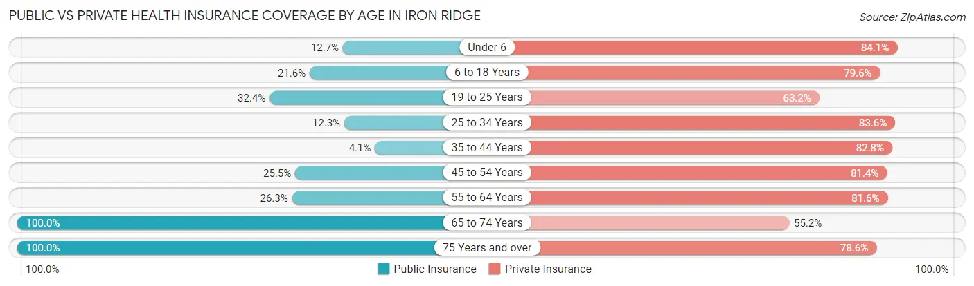 Public vs Private Health Insurance Coverage by Age in Iron Ridge