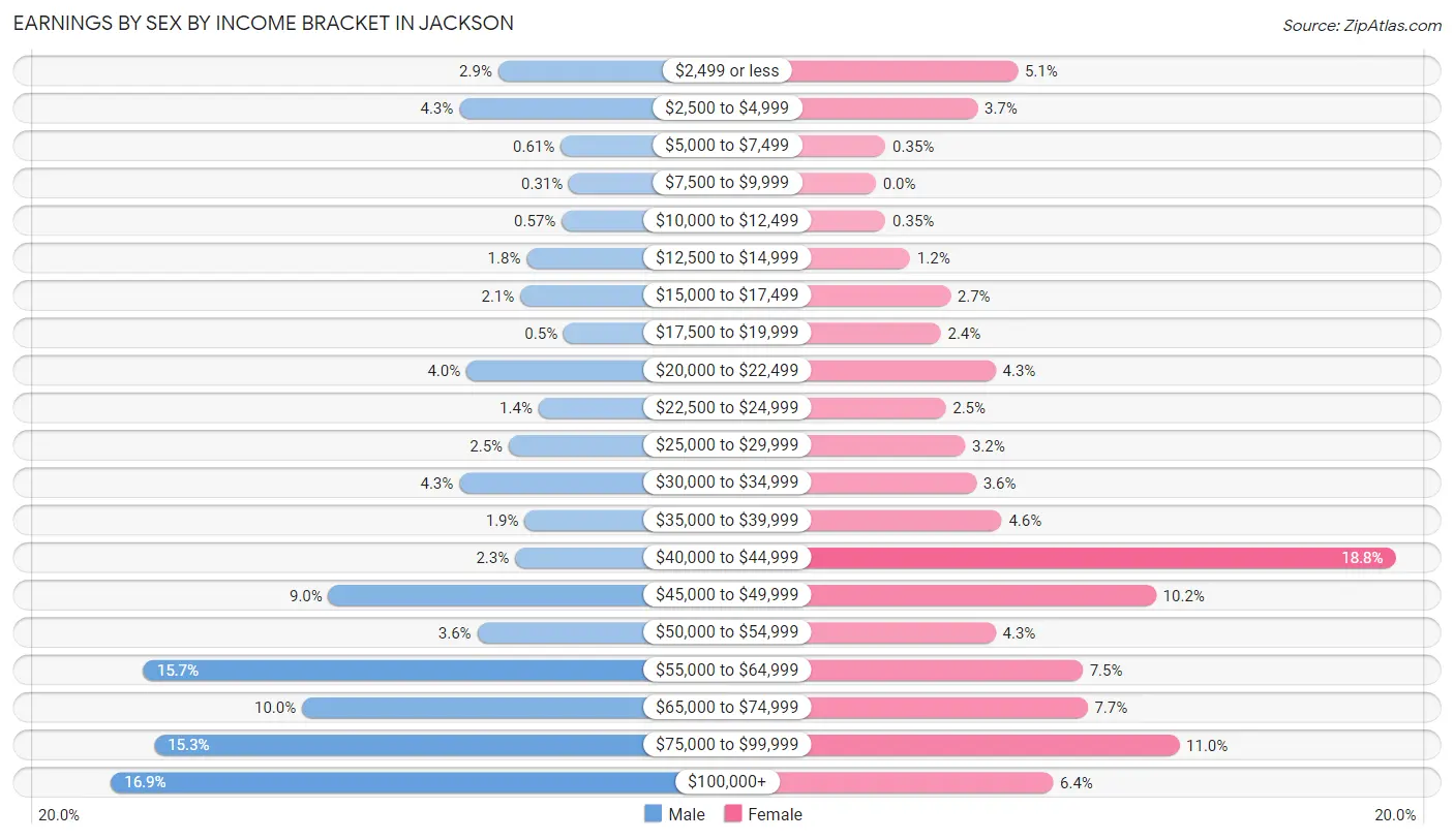 Earnings by Sex by Income Bracket in Jackson