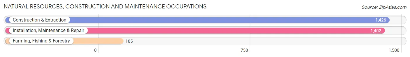 Natural Resources, Construction and Maintenance Occupations in Janesville