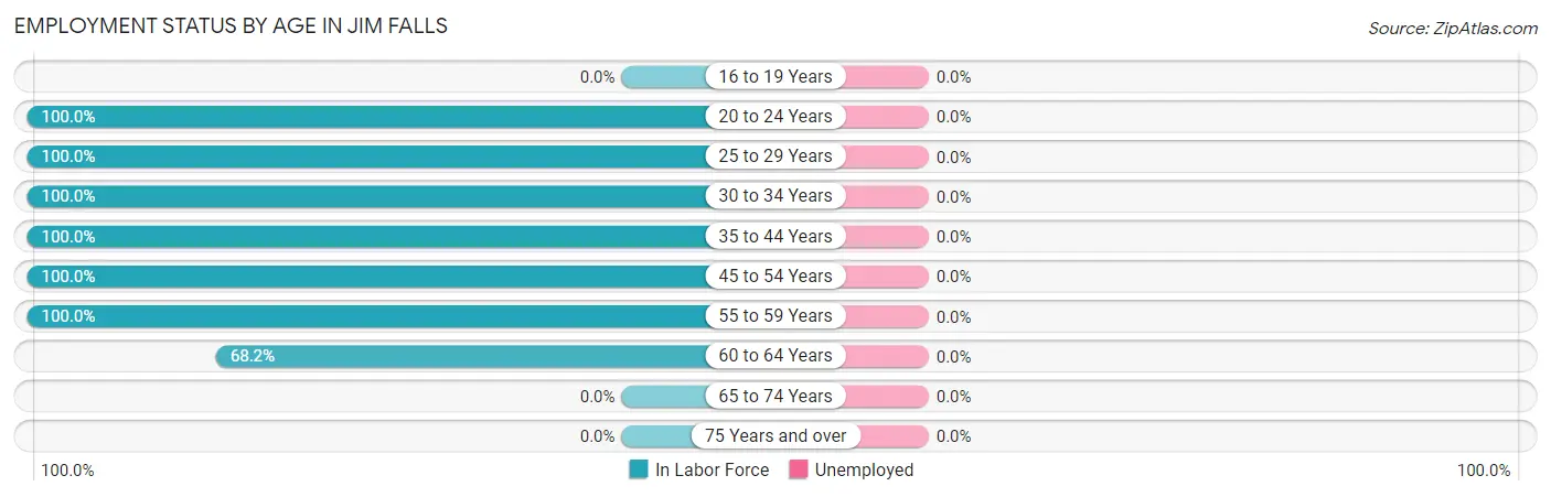 Employment Status by Age in Jim Falls