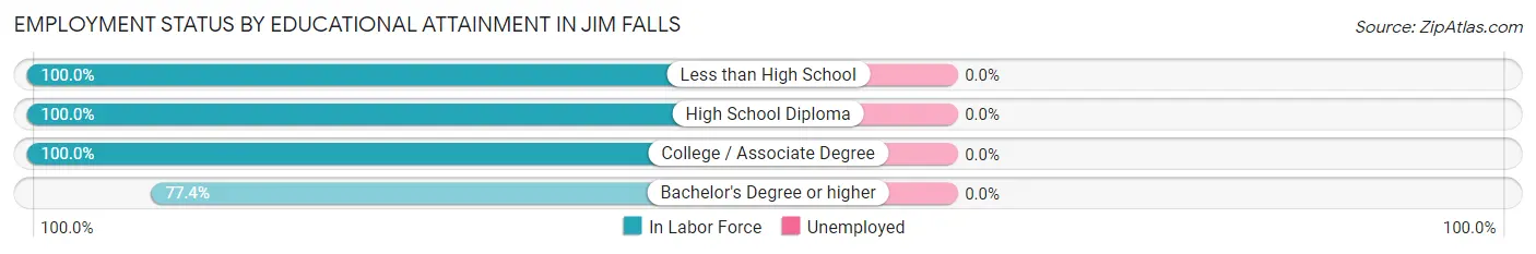 Employment Status by Educational Attainment in Jim Falls