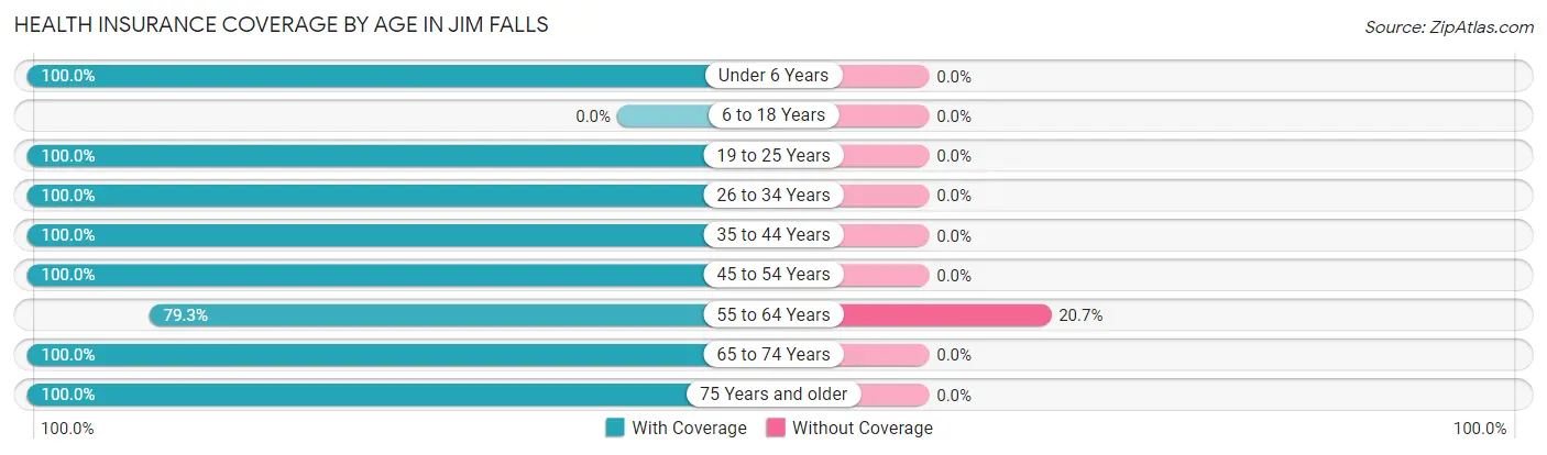 Health Insurance Coverage by Age in Jim Falls