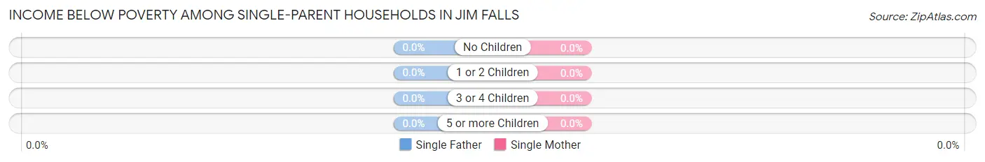 Income Below Poverty Among Single-Parent Households in Jim Falls